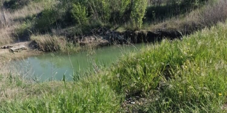 Căutări disperate în Vrancea. Un copil de 4 ani, găsit mort într-o baltă neamenajată, la doar o oră de la dispariție