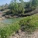 Căutări disperate în Vrancea. Un copil de 4 ani, găsit mort într-o baltă neamenajată, la doar o oră de la dispariție