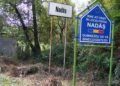 Romsilva recuperează definitiv peste 4.600 de hectare din pădurea Nadăș, după două decenii de litigii