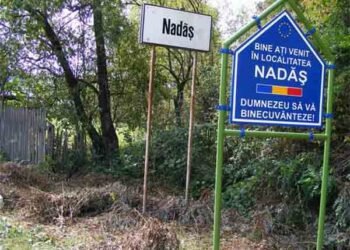 Romsilva recuperează definitiv peste 4.600 de hectare din pădurea Nadăș, după două decenii de litigii