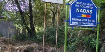 Romsilva recuperează definitiv peste 4.600 de hectare din pădurea Nadăș, după două decenii de litigii
