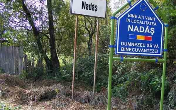 Romsilva recuperează definitiv peste 4.600 de hectare din pădurea Nadăș, după două decenii de litigii
