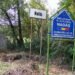 Romsilva recuperează definitiv peste 4.600 de hectare din pădurea Nadăș, după două decenii de litigii