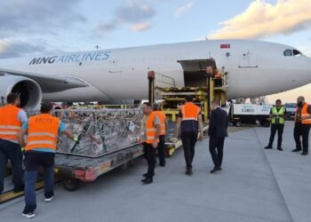 În premieră, România livrează peste 4.000 de ovine în Algeria cu avioane cargo