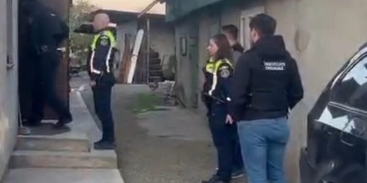 perchezitii Botosani