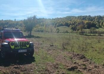 Investigație în Vrancea după ce un muncitor a murit după când tăia un copac