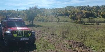 Investigație în Vrancea după ce un muncitor a murit după când tăia un copac