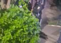 Scene dramatice în Tg. Jiu. Un bărbat și-a ucis fratele și bunica după care s-a sinucis. Procurorul: „Nu am întâlnit niciodată așa ceva!”