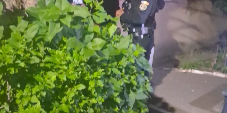 Scene dramatice în Tg. Jiu. Un bărbat și-a ucis fratele și bunica după care s-a sinucis. Procurorul: „Nu am întâlnit niciodată așa ceva!”