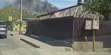 Incendiu la o farmacie din Iași