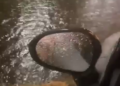 Zeci de interventii în județul Iasi, în urma precipitațiilor abundente