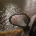 Zeci de interventii în județul Iasi, în urma precipitațiilor abundente