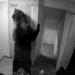 În România, prezența unui urs într-un hotel nu mai este considerată o urgență. Întamplare tragi-comică în Poiana Brașov