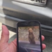 Turist bulgar atacat de urs pe Transfăgărășan după ce a încercat să-l hrănească și să-l filmeze