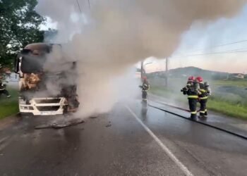 Incendiu la un autotren în municipiul Vaslui. Pompierii au salvat remorca încărcată cu 30 de tone de cereale