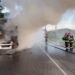 Incendiu la un autotren în municipiul Vaslui. Pompierii au salvat remorca încărcată cu 30 de tone de cereale