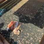 FOTO-Primarul din Erbiceni, apel către cetățeni după ce parcul comunei a fost găsit plin de gunoaie: „Coșul de gunoi nu mușcă”