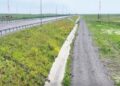 Gardurile de protecție de pe A7, vandalizate. Autoritățile intensifică supravegherea și patrulările