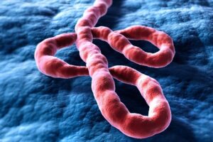 Nigeria ebola