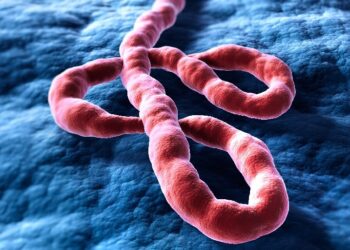 Primul caz de Ebola confirmat în Europa, la un medic francez întors din Congo