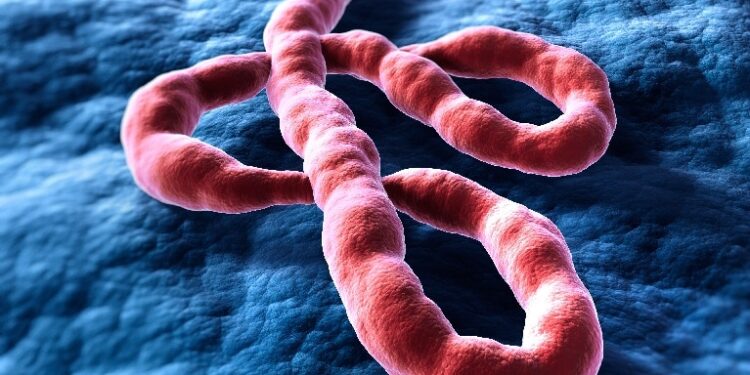 Primul caz de Ebola confirmat în Europa, la un medic francez întors din Congo