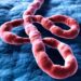 Primul caz de Ebola confirmat în Europa, la un medic francez întors din Congo