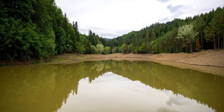 Suceava | Lucrările de decolmatare a lacului Solca și de punere în siguranță a barajului au fost finalizate