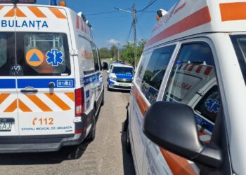 Vrancea | Accident grav în Străoane. Cinci persoane rănite, printre care doi copii. Un copac s-a prăbușit peste autoturism