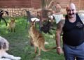 Nuțu Cămătaru, audiat într-un dosar privind o colecție de animale exotice. Dani Mocanu apare în anchetă