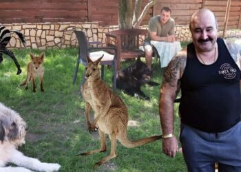 Nuțu Cămătaru, audiat într-un dosar privind o colecție de animale exotice. Dani Mocanu apare în anchetă