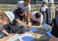 Zeci de muncitori fără forme legale pe șantiere, amenzi de peste 2 milioane de lei