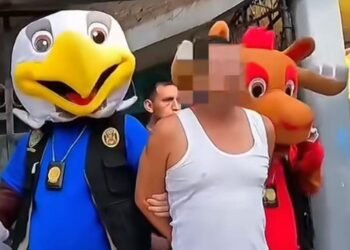 Operațiune ca-n filme: mascotele Mondialului, folosite pentru prinderea unui suspect