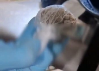 Cinci persoane reținute la Galați într-un dosar de trafic de droguri