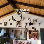 FOTO: Descinderi de amploare în Suceava! Arsenal de arme, sute de cartușe și carne de vânat, descoperite la percheziții
