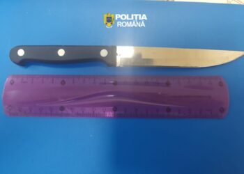 Bărbat din Râmnicu Sărat depistat cu un cuțit în tren