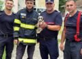Misiune contracronometru în Timiș pentru salvarea cățelușei Raia. Pompierii au folosit un buldoexcavator