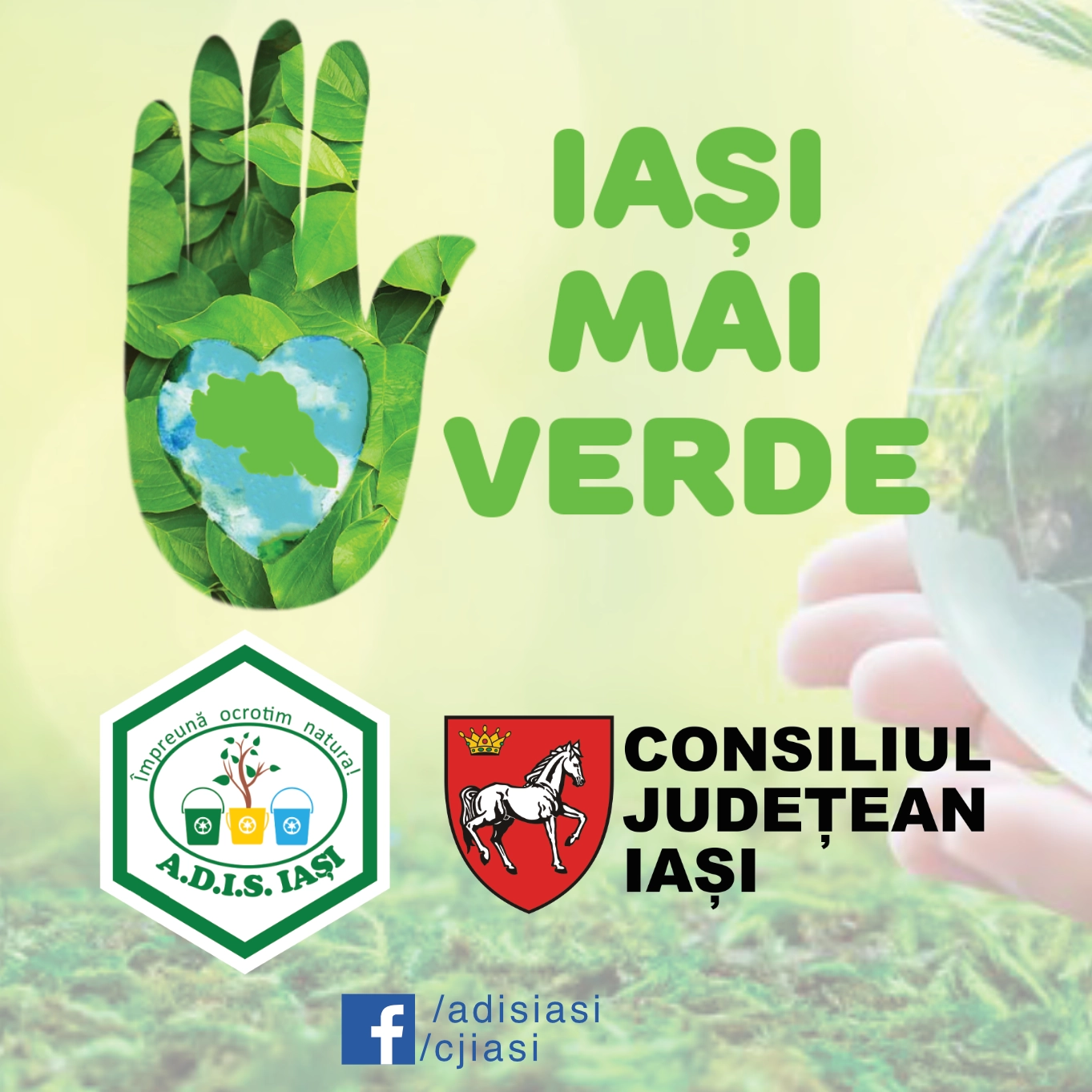 adis Iași 