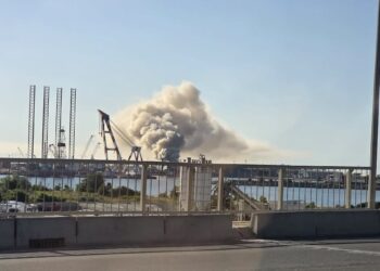 Incendiu de amploare în Portul Constanța Sud–Agigea. Un avertizor public cere o anchetă completă: „Astfel de incidente nu apar din senin”