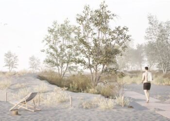 Ministerul Mediului pregătește un proiect pilot pentru crearea de perdele forestiere pe plajele din Mamaia–Năvodari