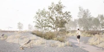 Ministerul Mediului pregătește un proiect pilot pentru crearea de perdele forestiere pe plajele din Mamaia–Năvodari