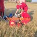 Pieton grav rănit într-un accident la Plugari. A fost solicitat elicopterul SMURD