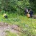 Doi bărbați, prinși în flagrant în timp ce furau gazolină dintr-o conductă OMV Petrom