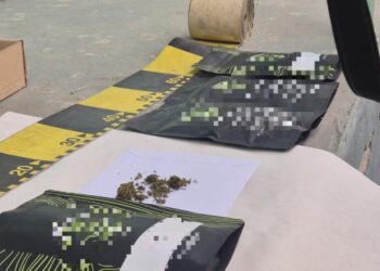 Bărbat de 32 de ani, reținut de DIICOT Neamț într-un dosar de trafic și introducere în țară de canabis