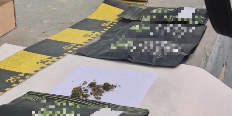 Bărbat de 32 de ani, reținut de DIICOT Neamț într-un dosar de trafic și introducere în țară de canabis