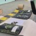 Bărbat de 32 de ani, reținut de DIICOT Neamț într-un dosar de trafic și introducere în țară de canabis