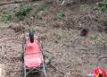 Bărbat de 30 de ani, decedat după ce a fost lovit de un copac într-o pădure din Crăcăoani
