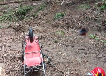 Bărbat de 30 de ani, decedat după ce a fost lovit de un copac într-o pădure din Crăcăoani