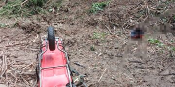 Bărbat de 30 de ani, decedat după ce a fost lovit de un copac într-o pădure din Crăcăoani