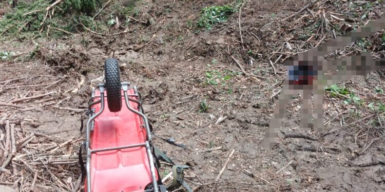 Bărbat de 30 de ani, decedat după ce a fost lovit de un copac într-o pădure din Crăcăoani