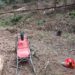 Bărbat de 30 de ani, decedat după ce a fost lovit de un copac într-o pădure din Crăcăoani